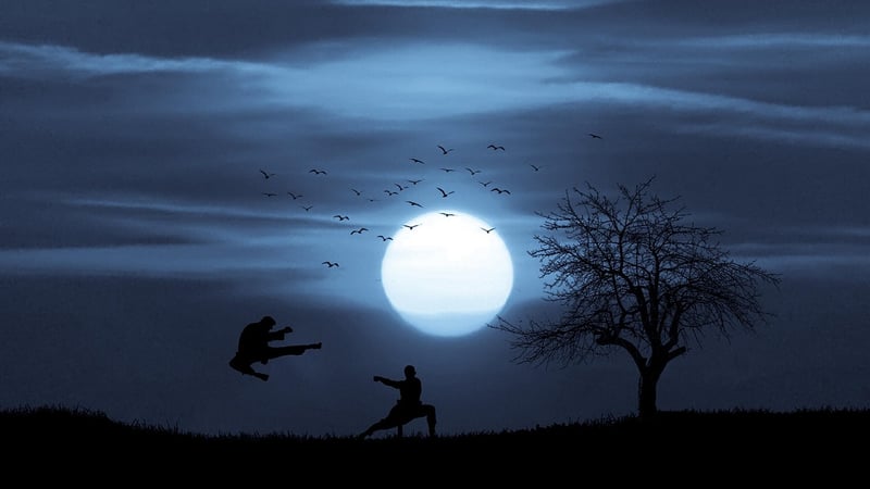Tai Chi Martial Arts